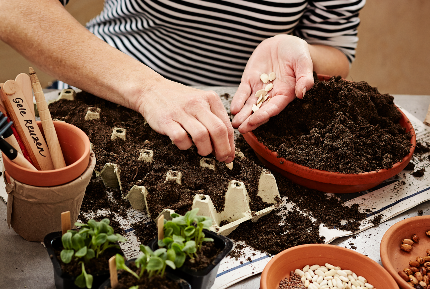 Kylvömulta Kekkilä 30l