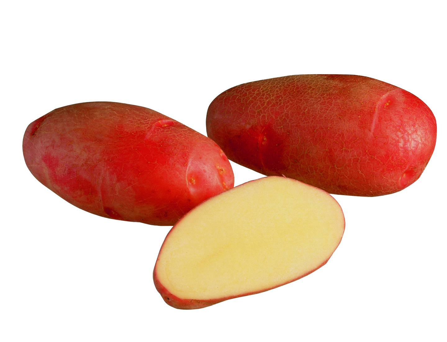 Siemenperuna Rosamunda 10kg talvi