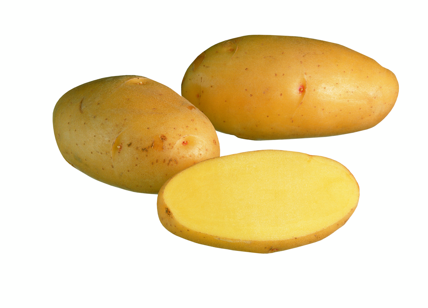 Siemenperuna Nicola 10kg talvi