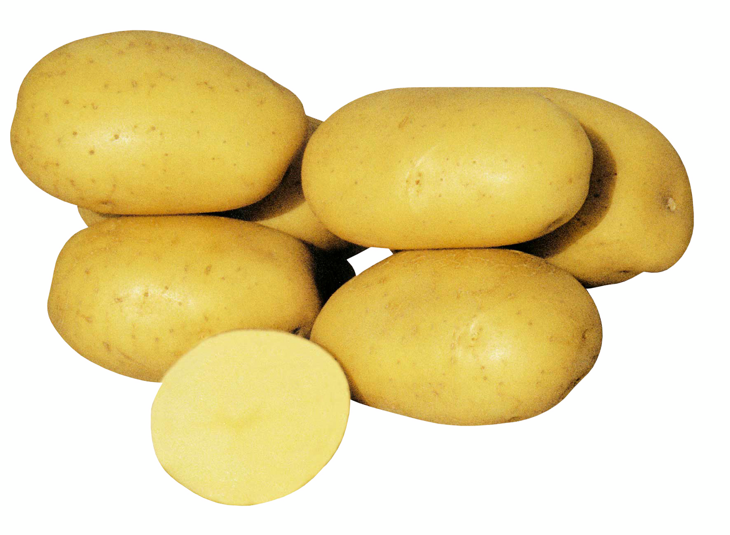 Siemenperuna Afra 10kg talvi