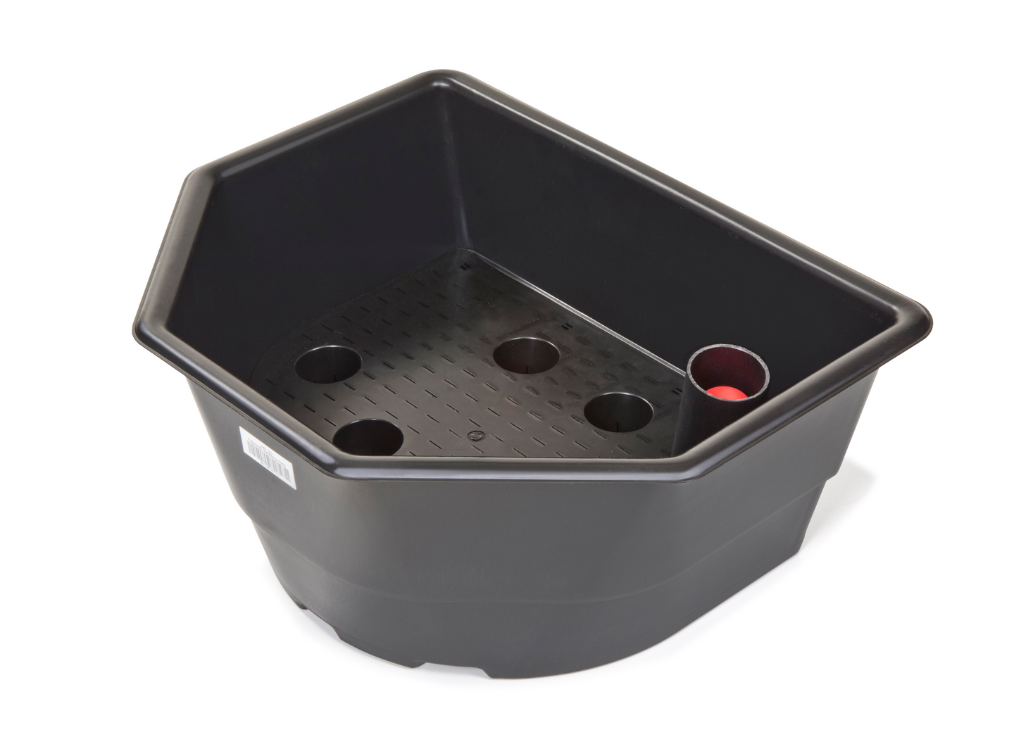 Kasvuallas Biolan kukanpesä