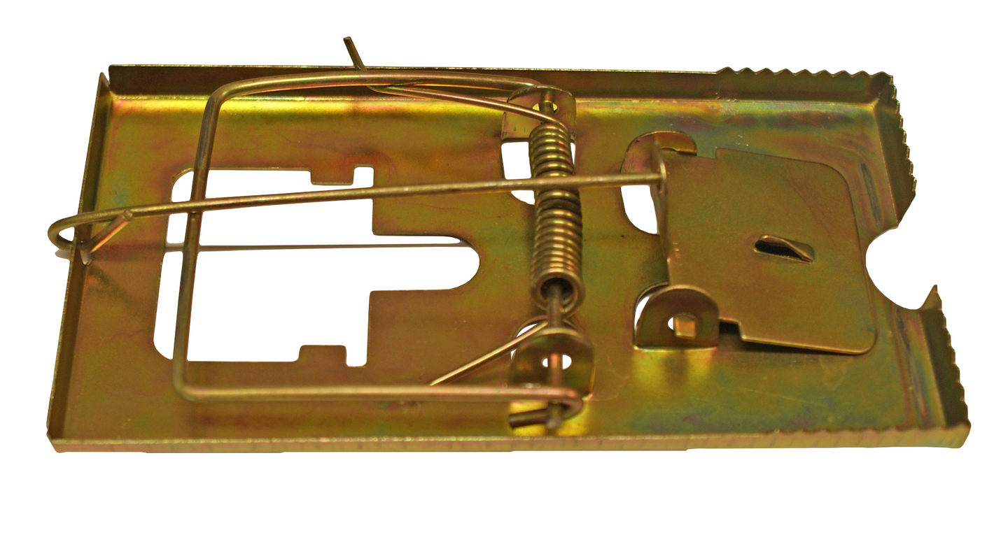 Rotanloukku metallia