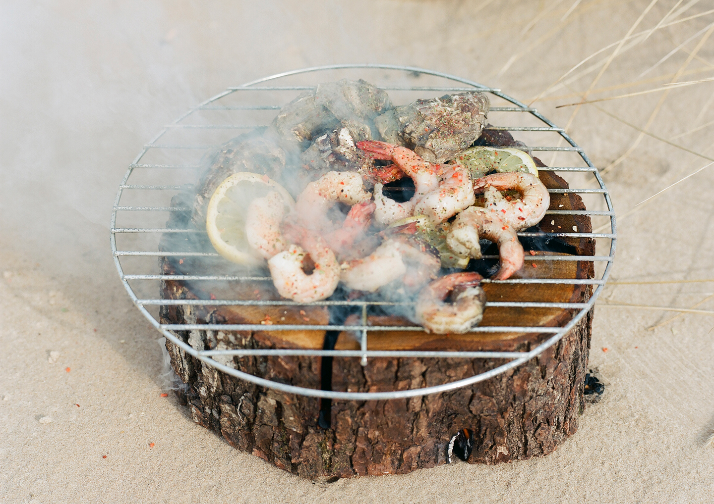 Ecogrilli Muurikka 24cm -28cm