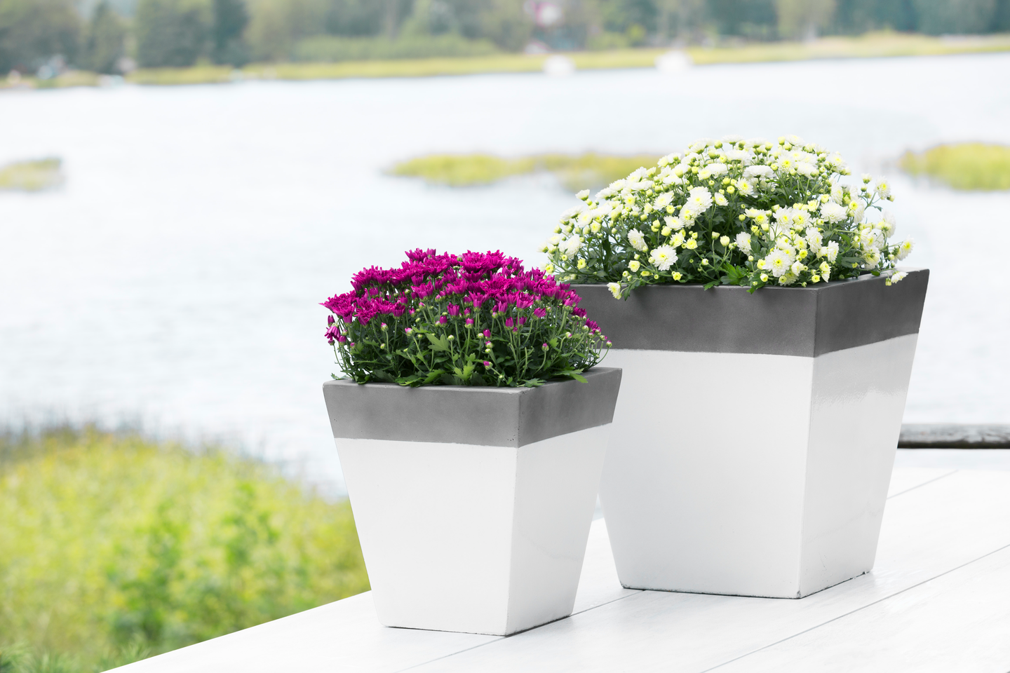 Ruukku Cello Baben valkoharmaa l