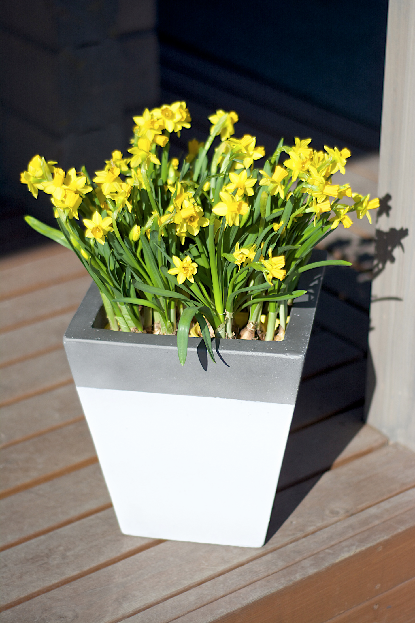 Ruukku Cello Baben valkoharmaa l