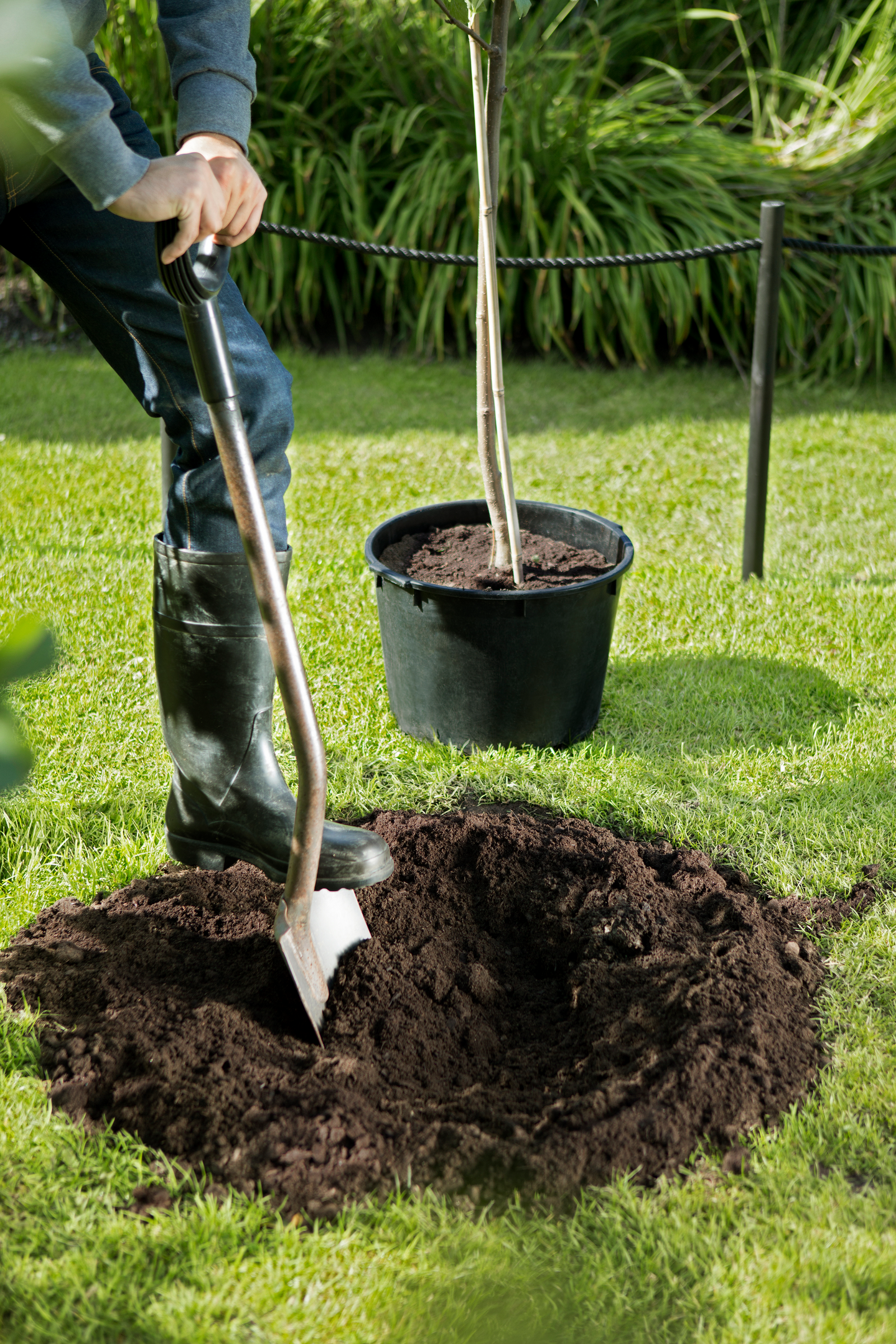 Puu- ja pensasmulta Kekkilä 40l