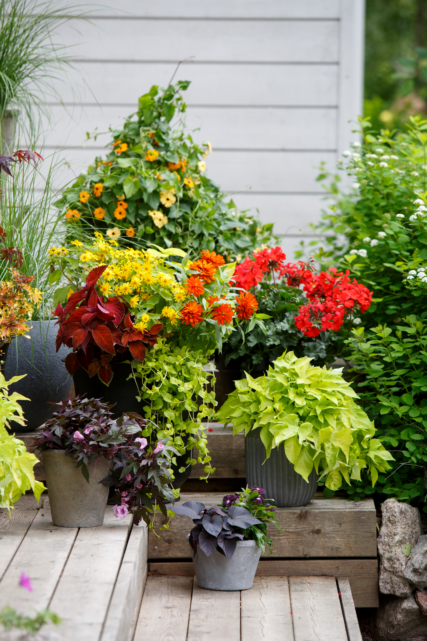 Kesäkukkamulta Kekkilä 30l