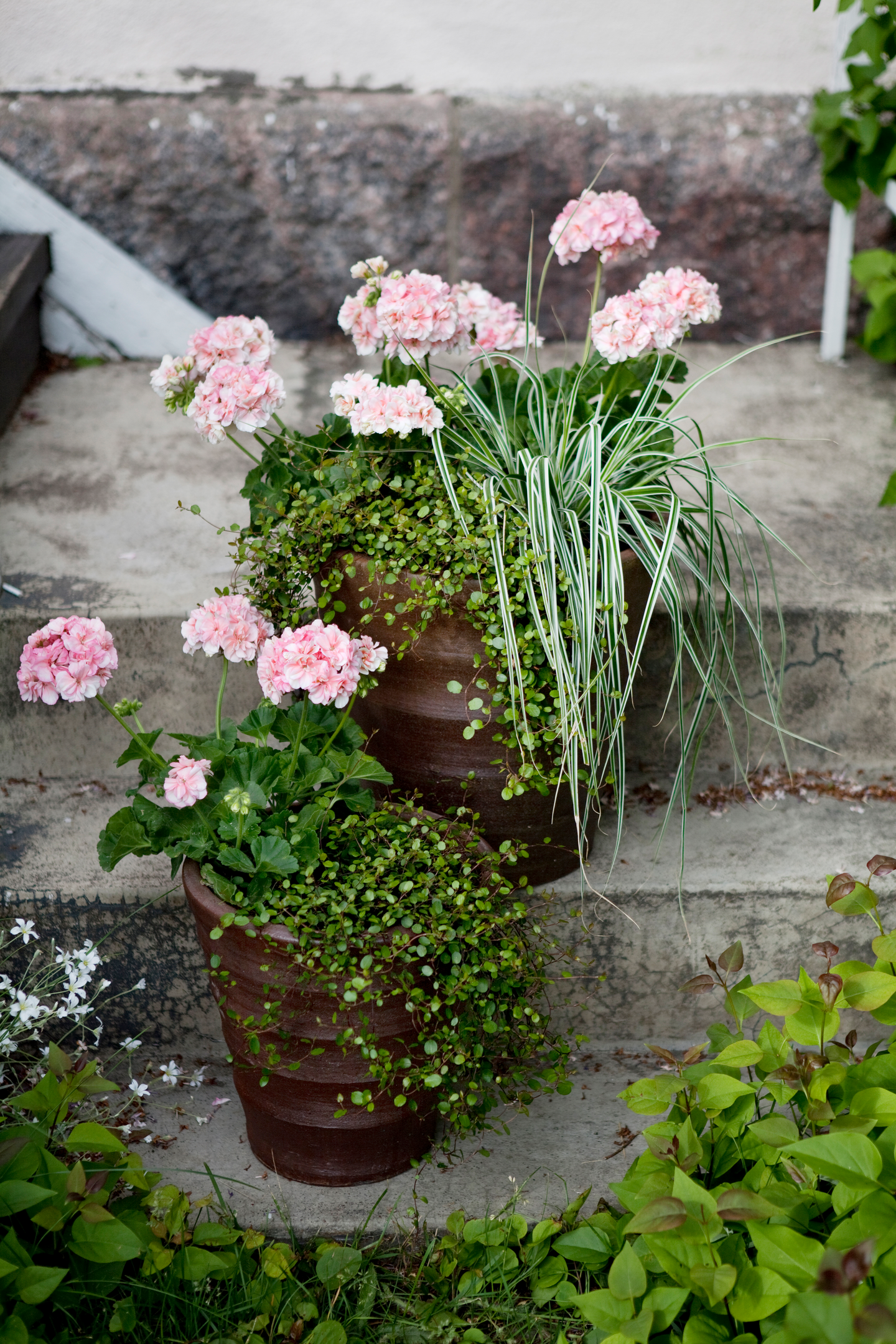 Kesäkukkamulta Kekkilä 10l