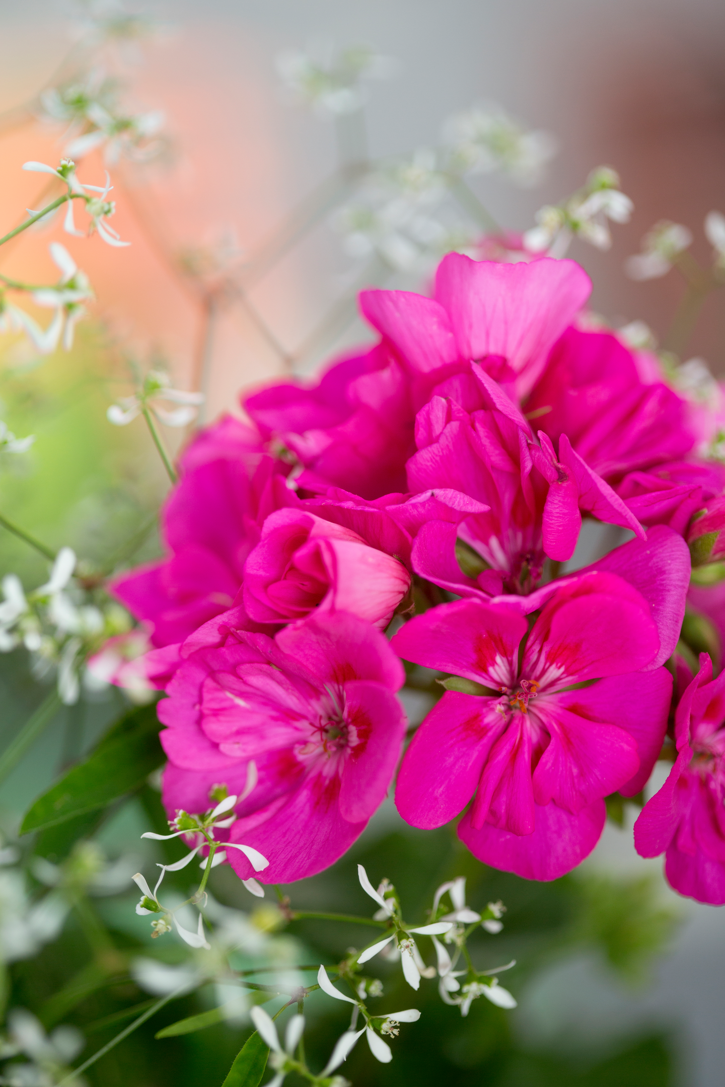 Kesäkukkamulta Kekkilä 10l