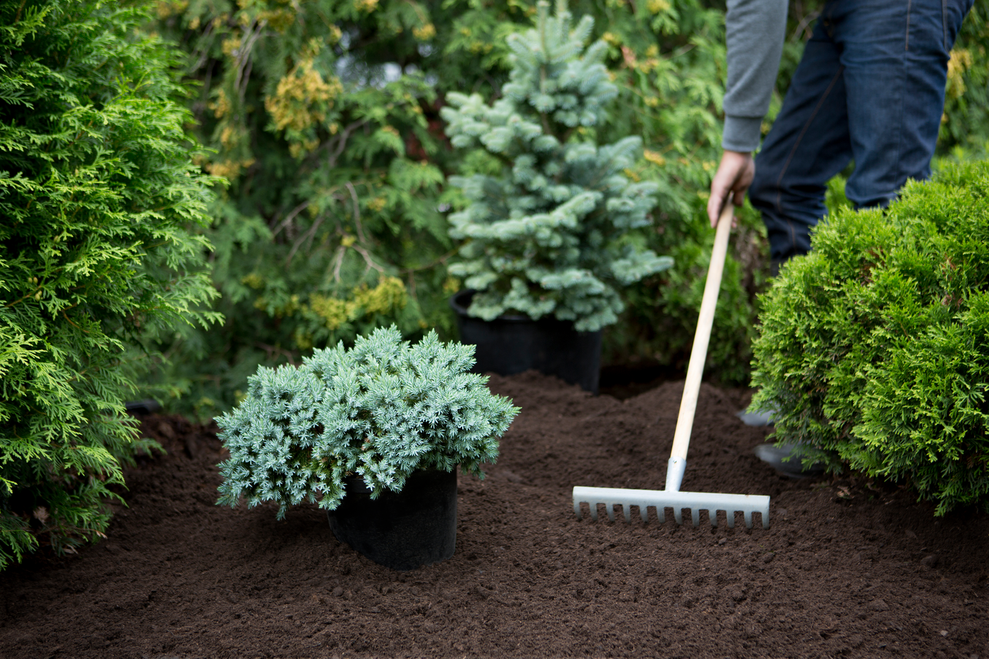 Havu-rodomulta Kekkilä 40l