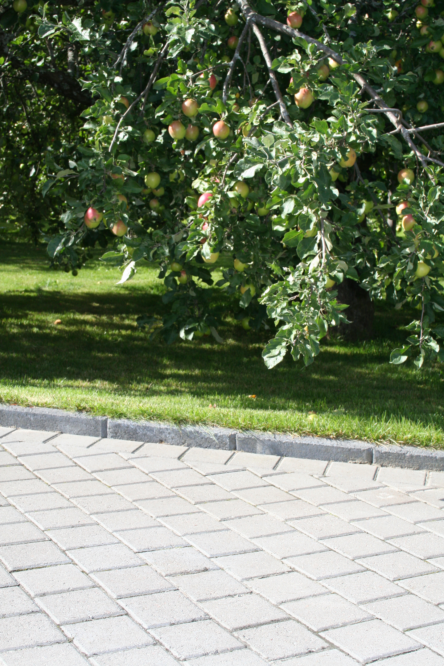 Aukiokivi HB 138x138x60mm harmaa 10m²/lava 1405kg/lava