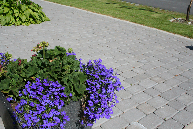 Perinnekivi HB 172x115x80mm musta