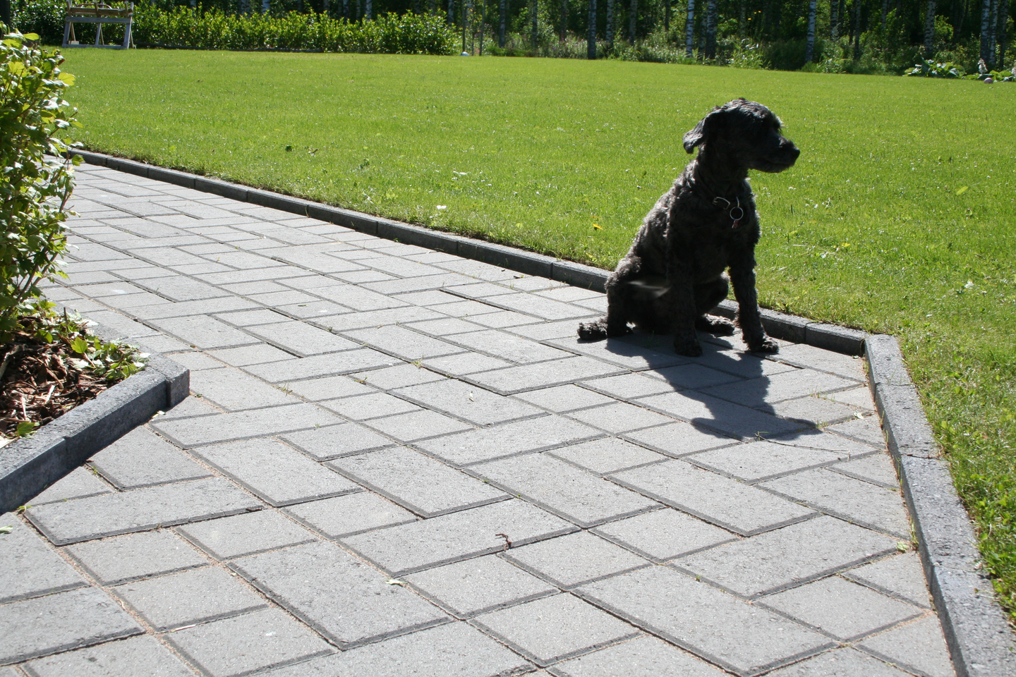 Aukiokivi HB 138x138x60mm musta 10,0m²/lava 1405kg/lava