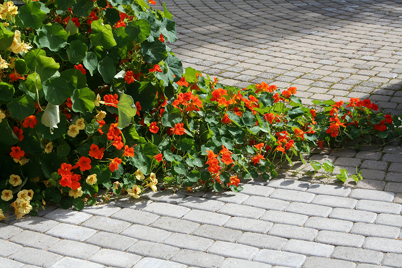 Perinnekivi HB 172x115x60mm harmaa 50kpl/m²