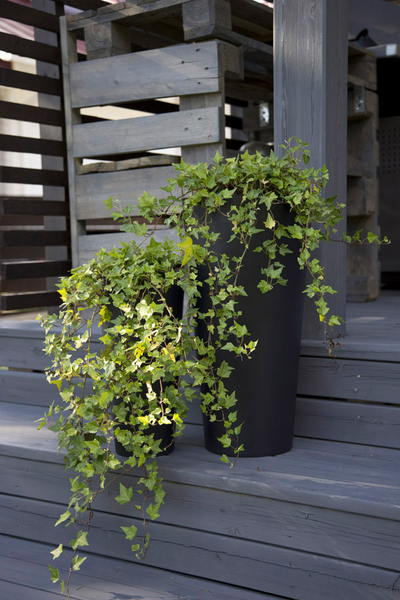 Ruukku Tubus Slim 20cm antrasiitti