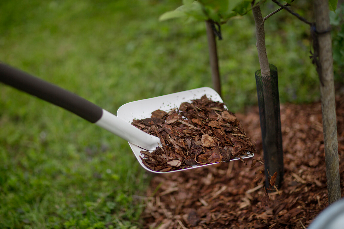 Kuuppalapio Fiskars Light 1019602