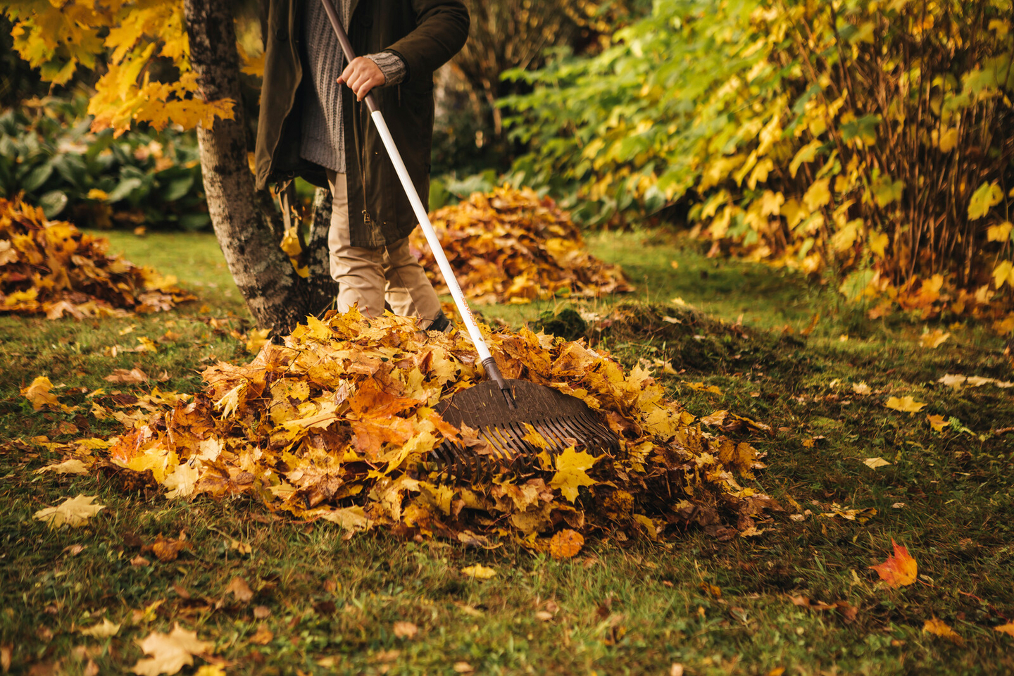 Lehtiharava Fiskars Light l 1019606