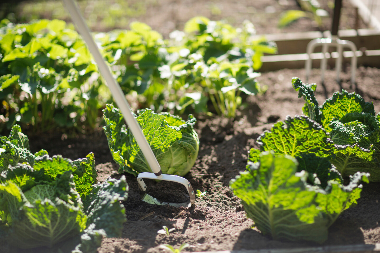 Hara Fiskars Light 1019610