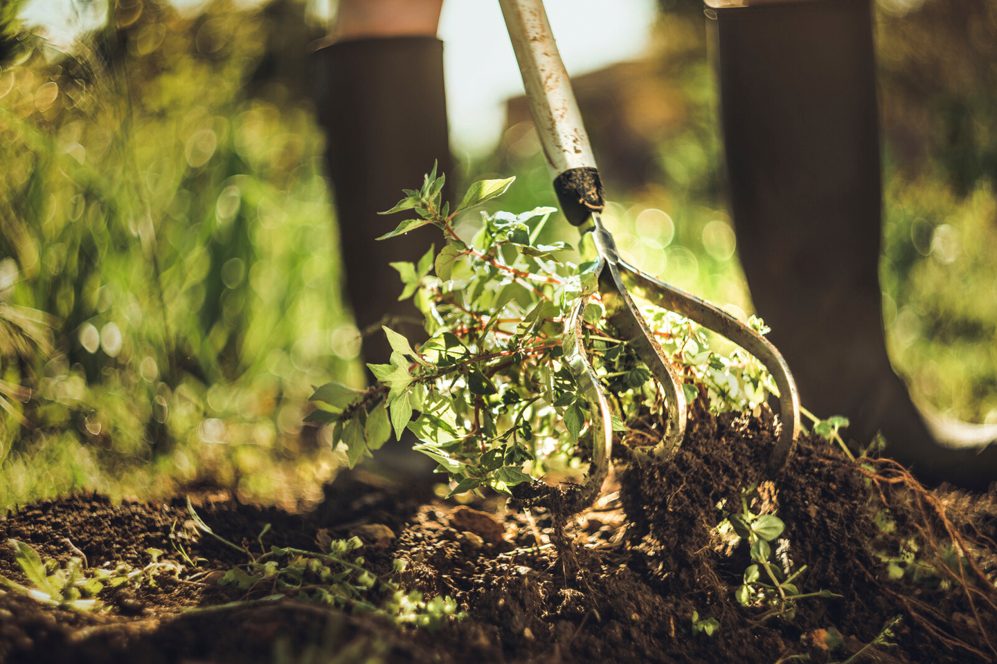 Möyhennyskuokka Fiskars Light 1019611
