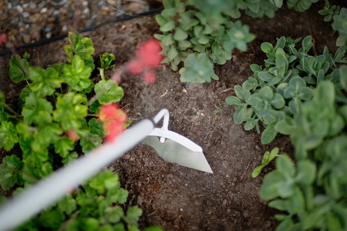 Harvennuskuokka Fiskars Light 1019609