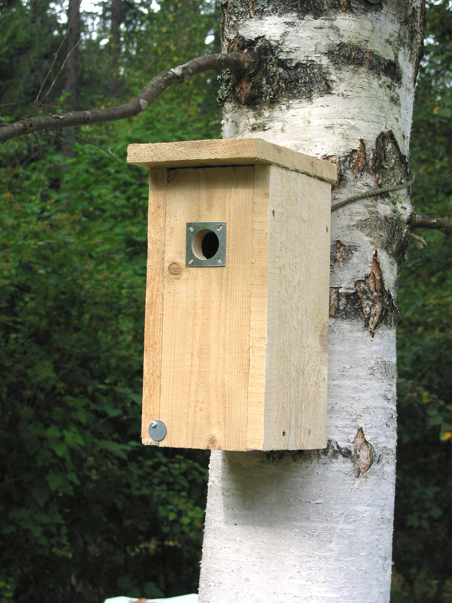 Linnunpönttö Esvi lentoaukko 32mm lentoaukon suojapellillä