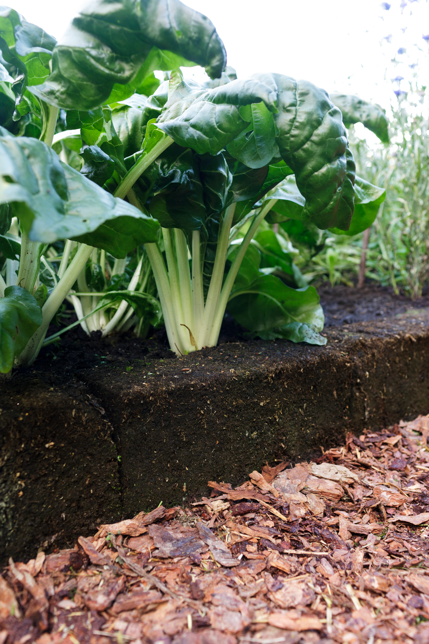 Turveharkko Kekkilä 4kpl