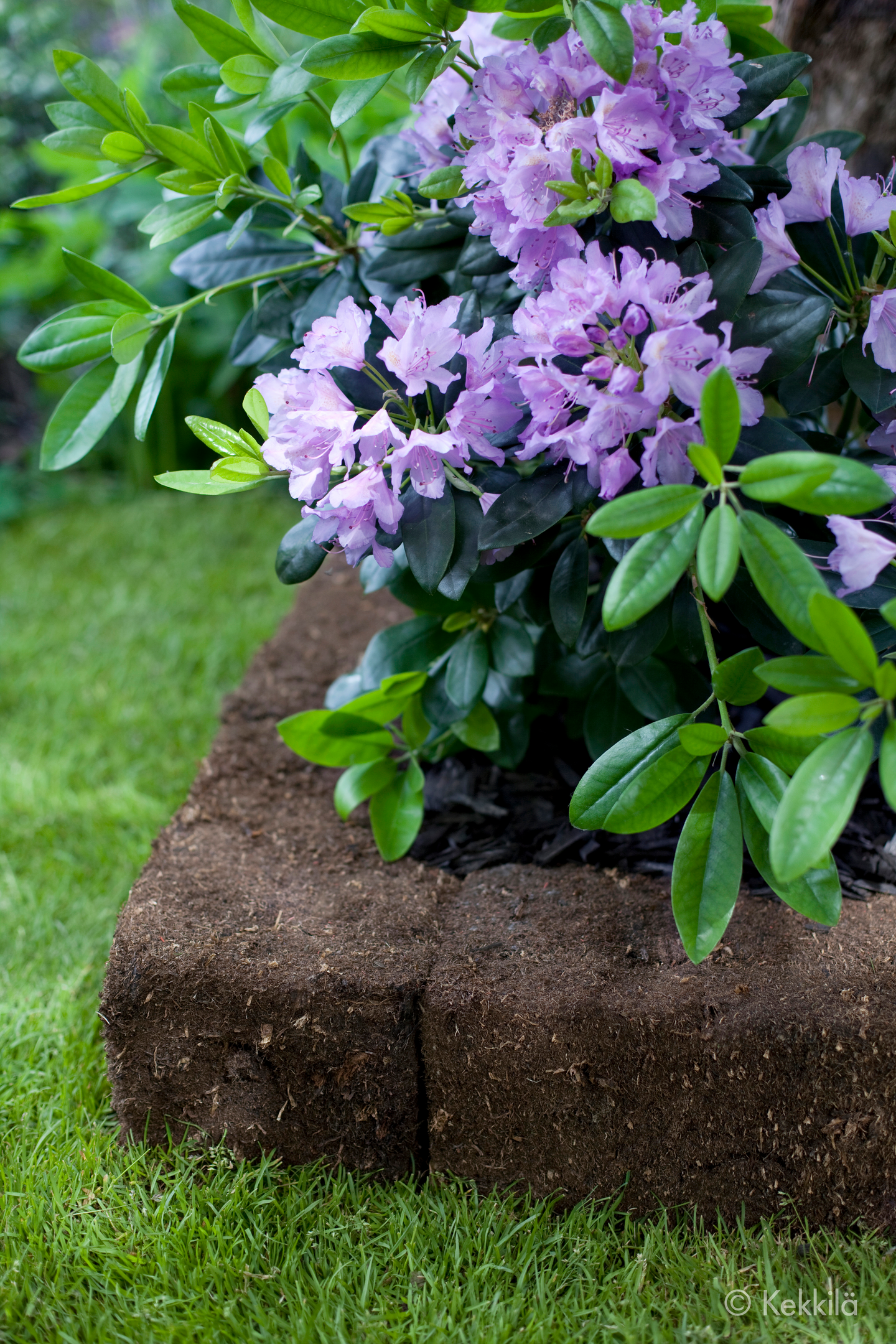 Turveharkko Kekkilä 4kpl