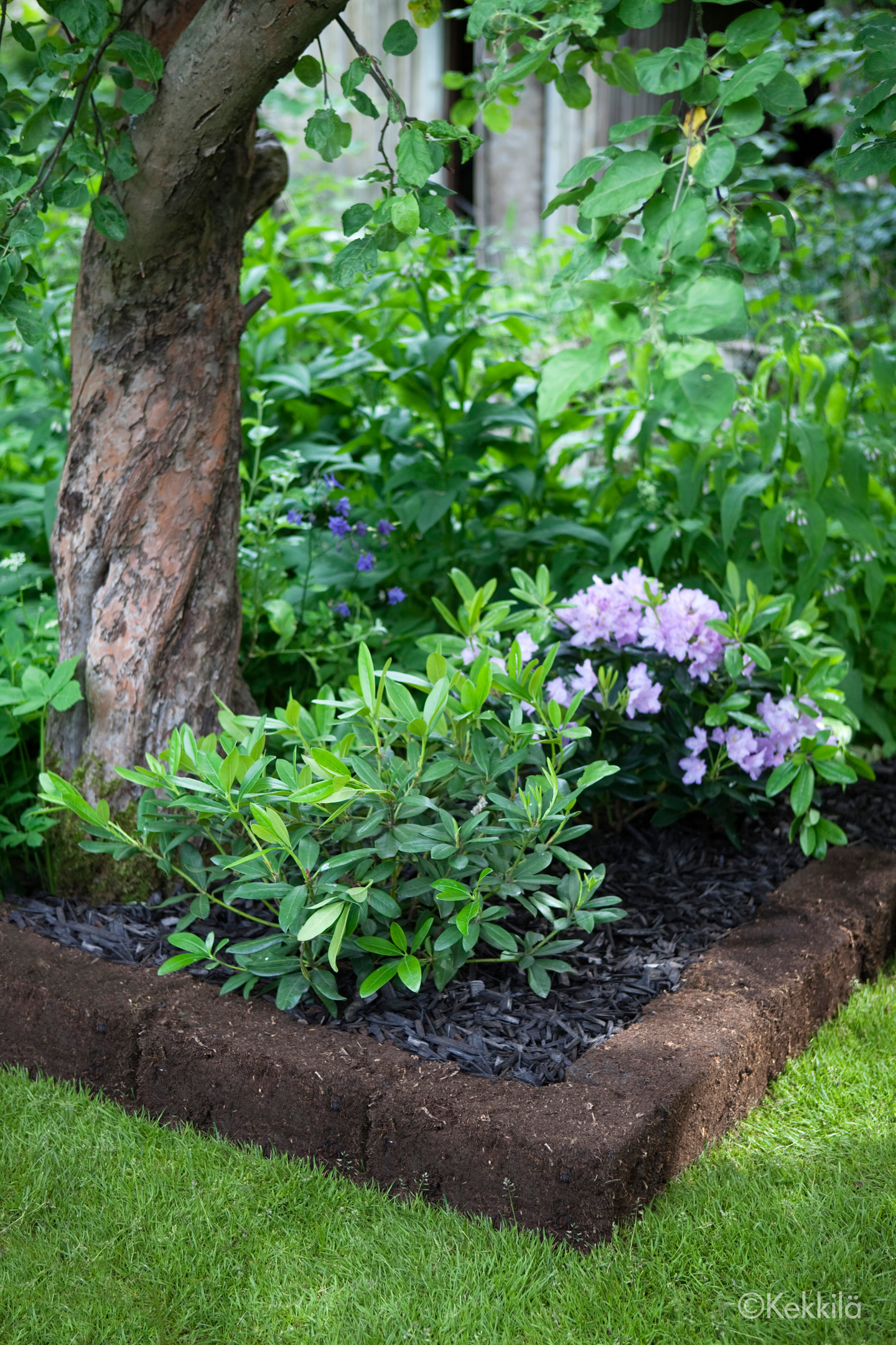 Turveharkko Kekkilä 4kpl