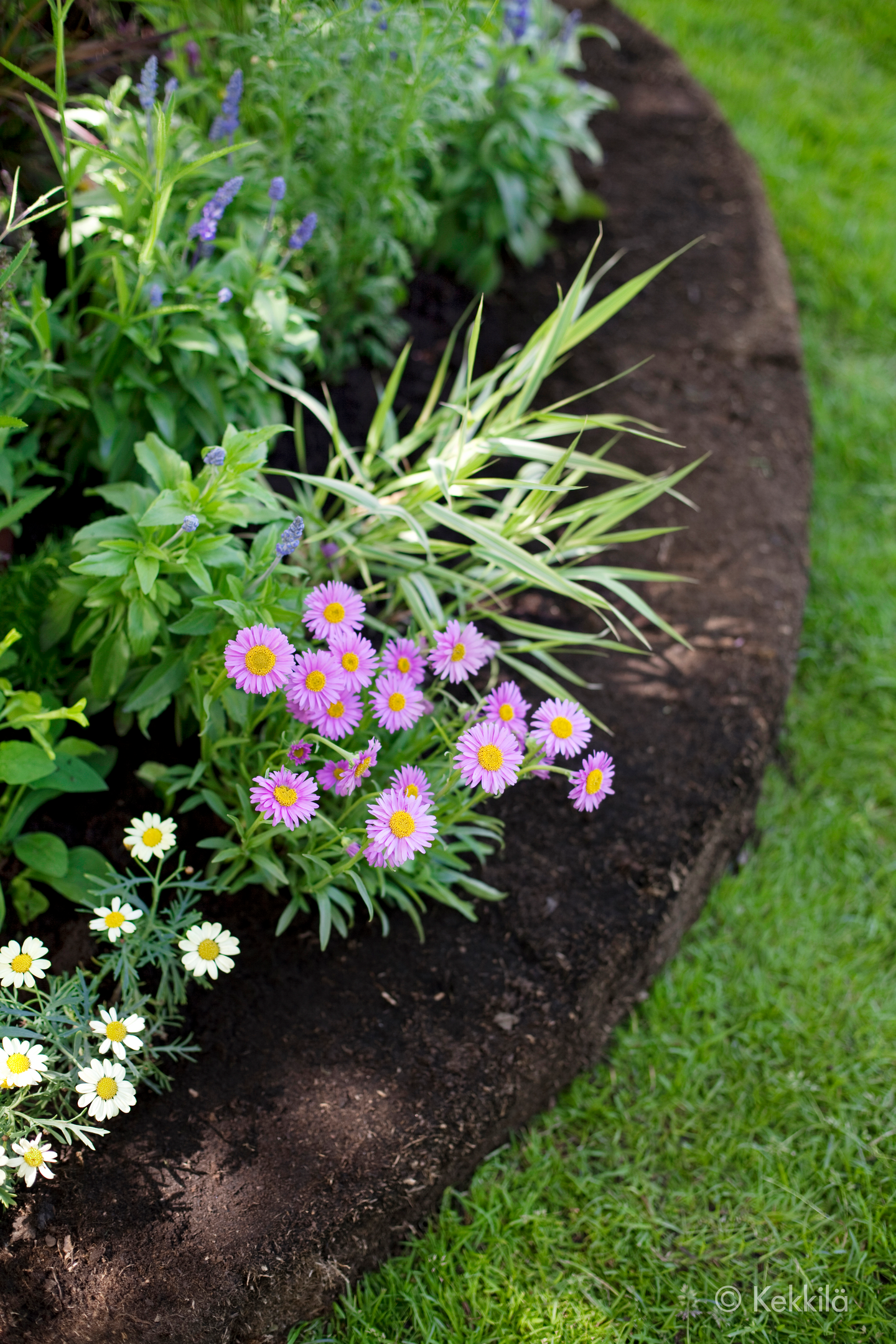 Turveharkko Kekkilä 4kpl