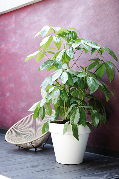 Ulkoruukku Elho Loft Urban 30cm valkoinen