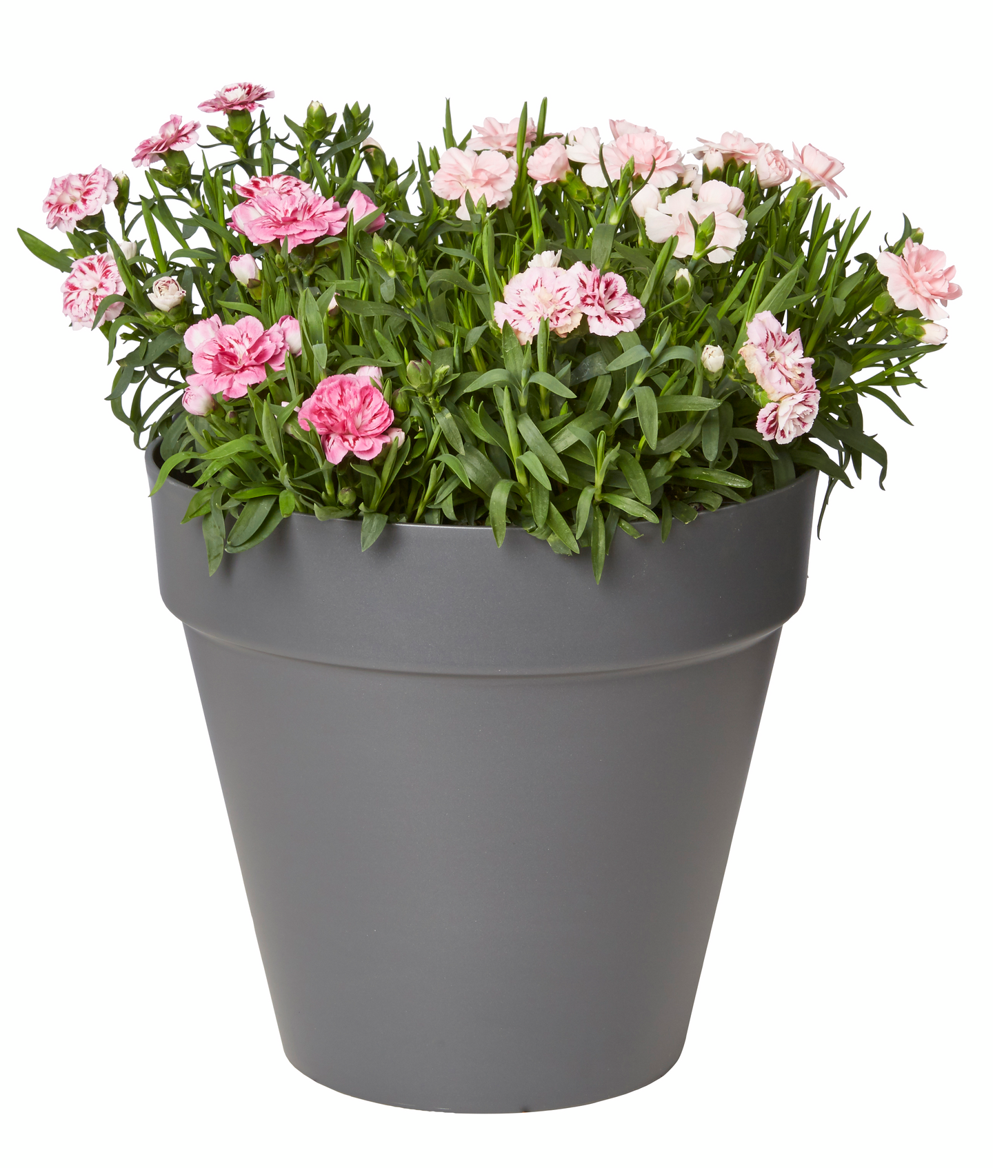 Ulkoruukku Elho Loft Urban 30cm antrasiitti