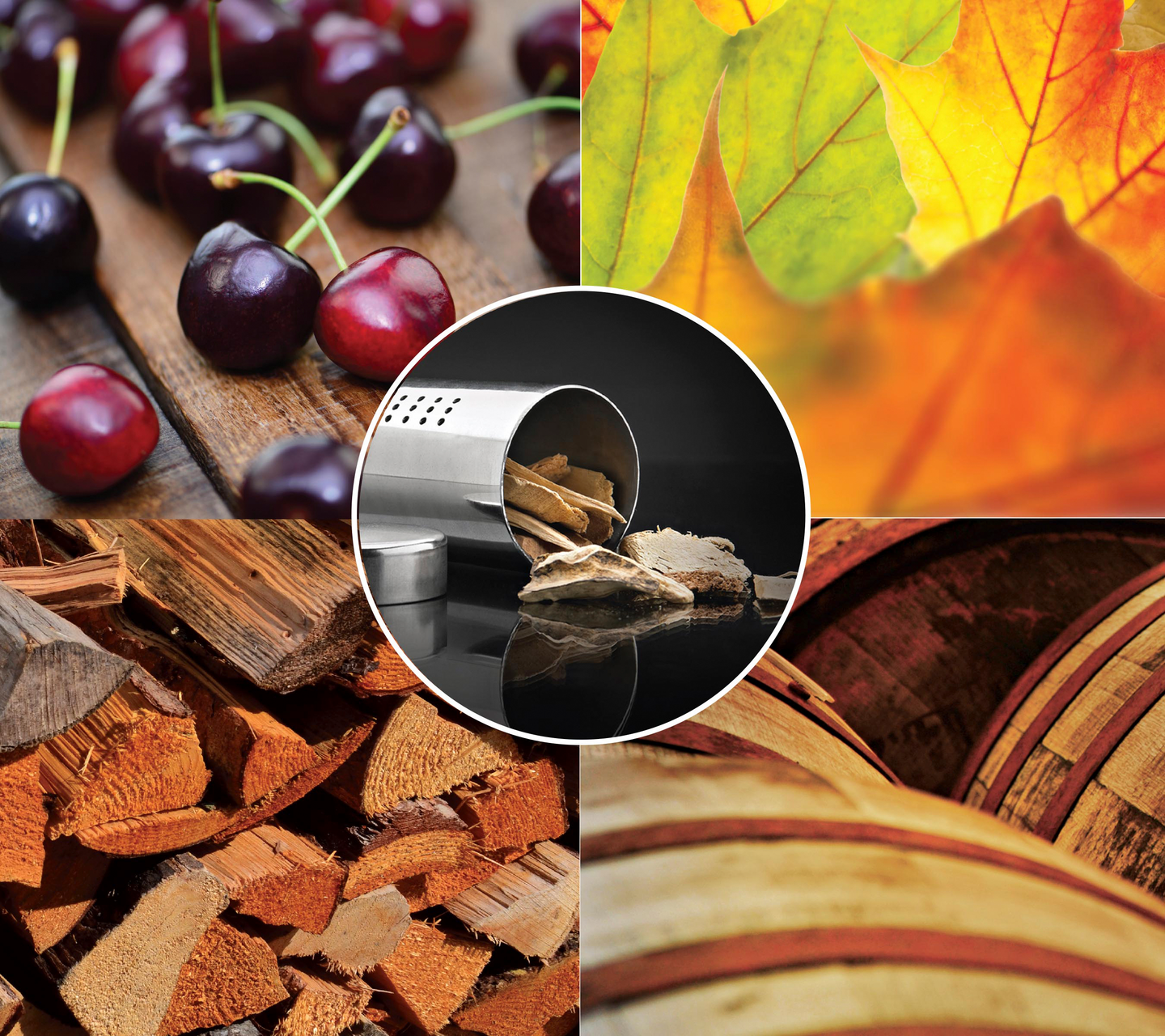 Starter kit Napoleon PRO smoker