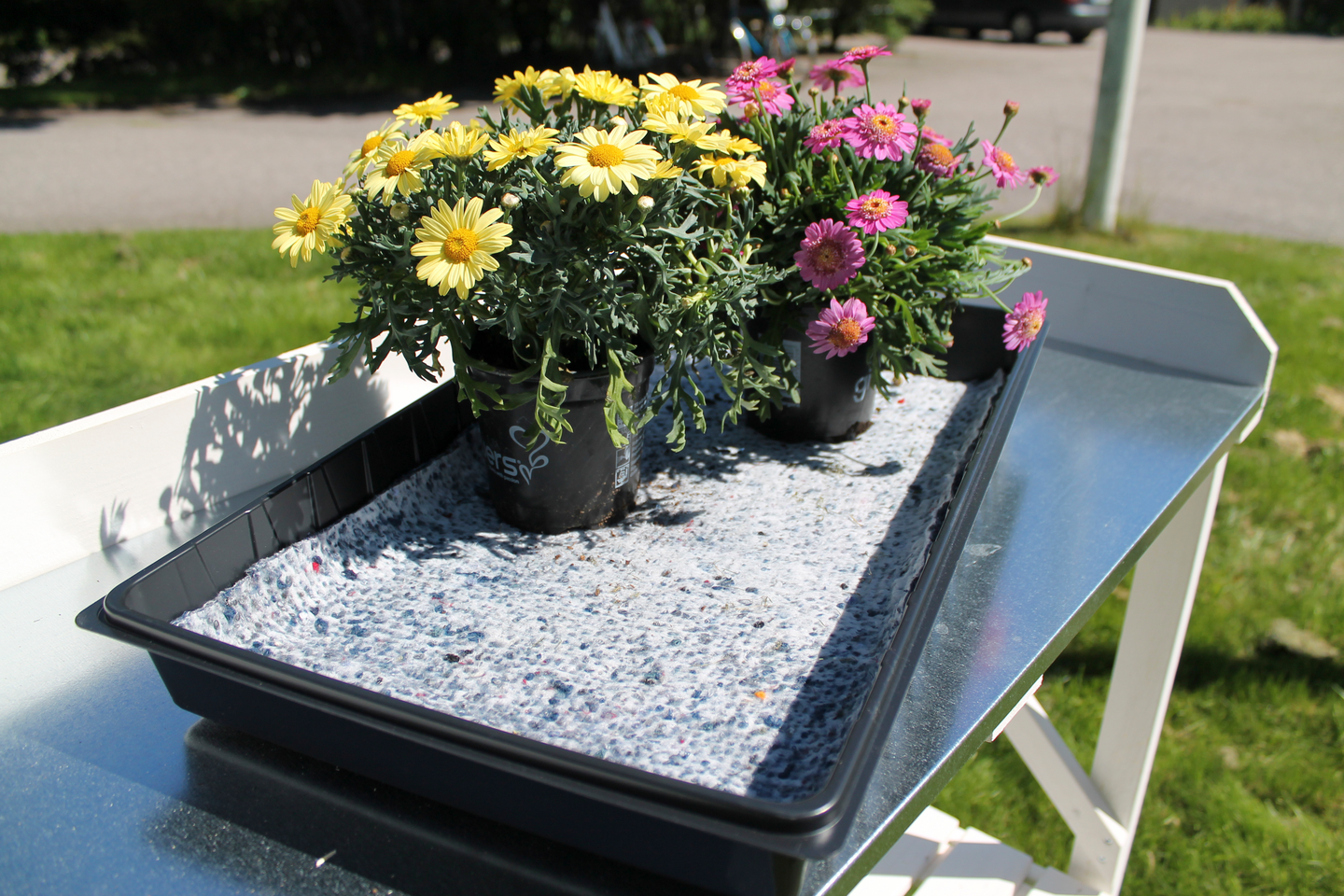 Altakastelumatto Tarha 50x100cm