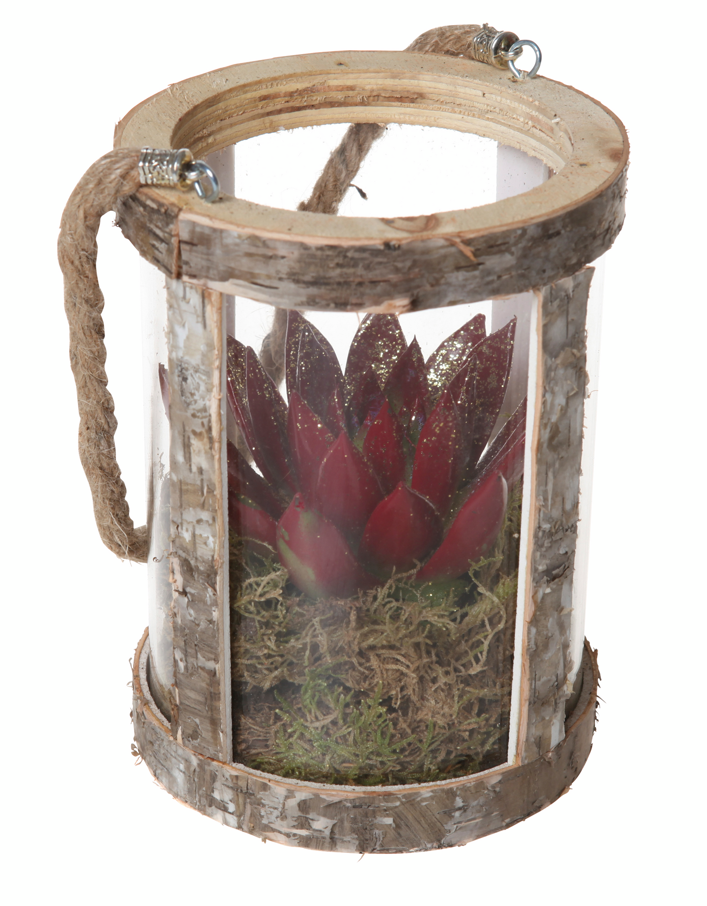 Joulukukkaistutus pieni