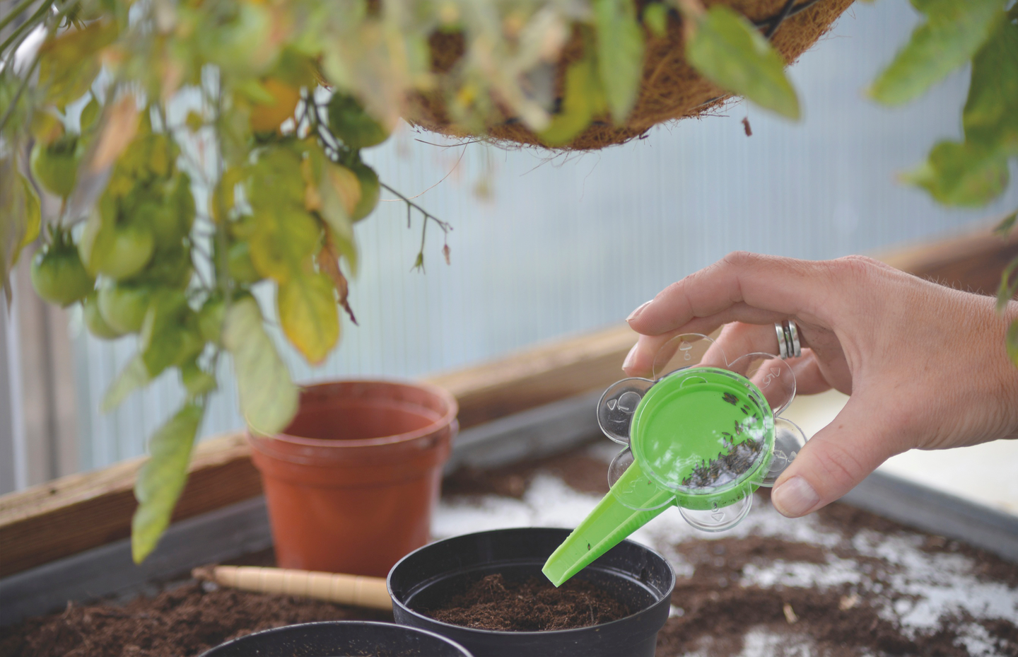 Siemenannostelija Nelson Garden 5988