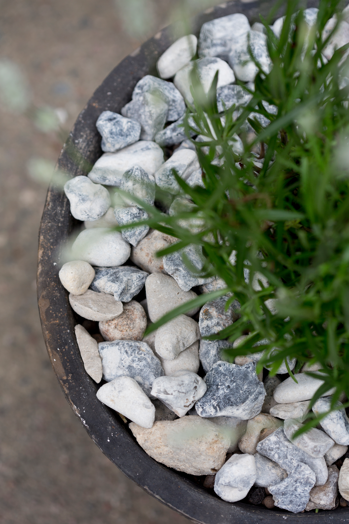 Koristekivi Kekkilä rantakivi iso harmaavalkoinen 25kg