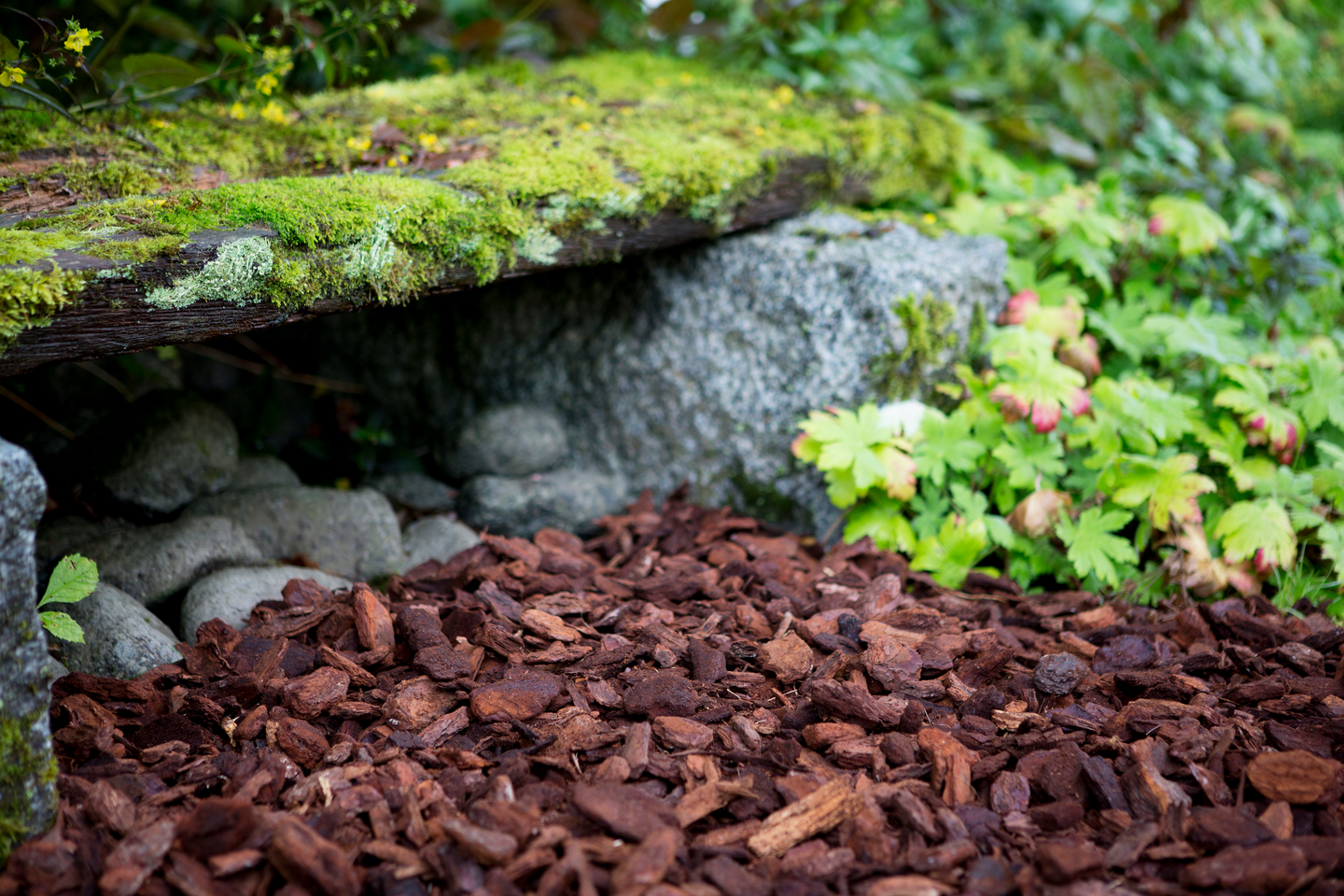 Koristekate Kekkilä Pinja 35l