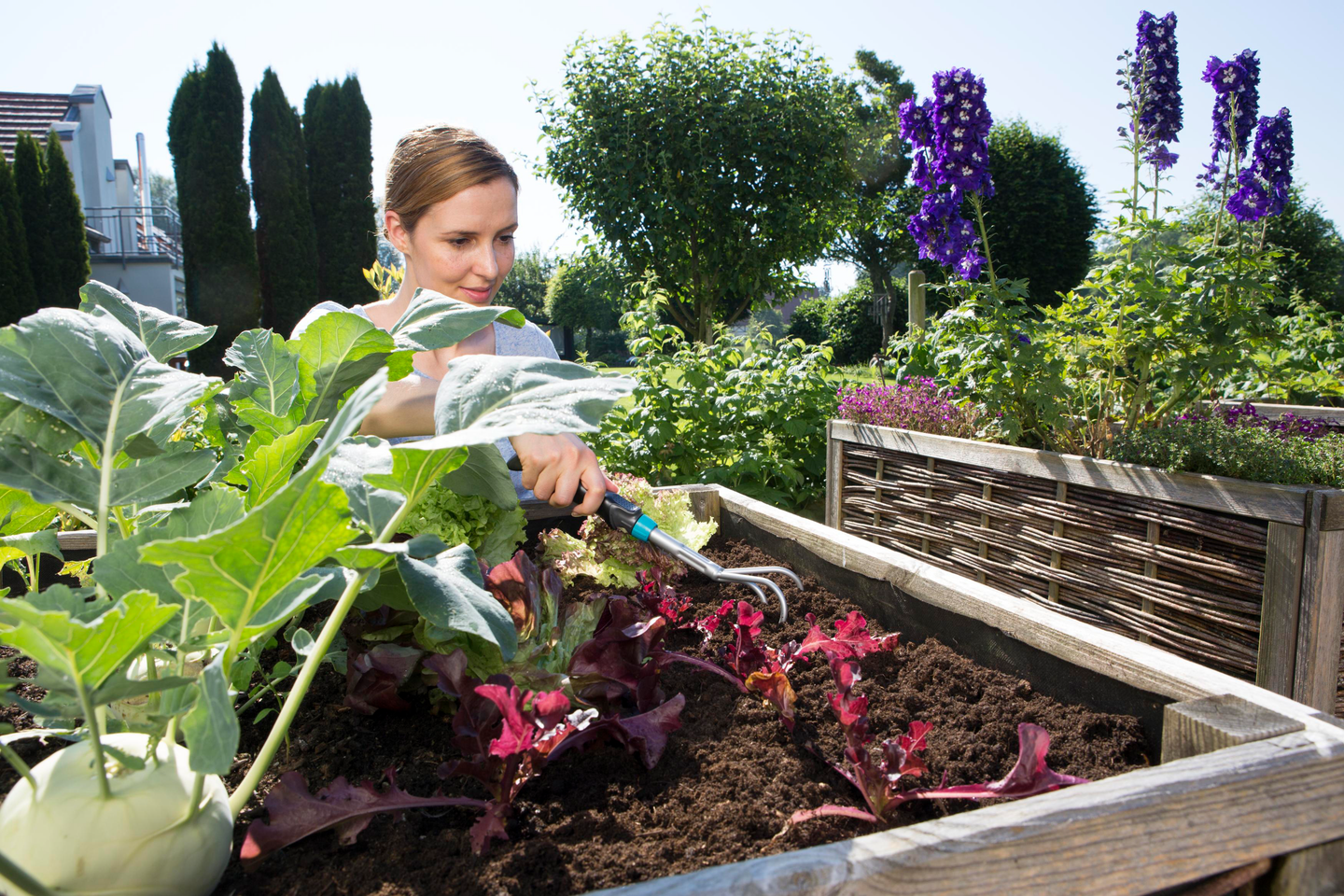 Pikkumöyhennin Gardena 08957-20