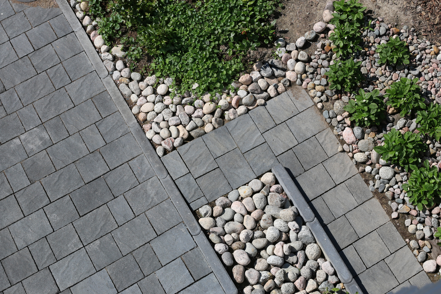 Torino-kivi Rudus musta