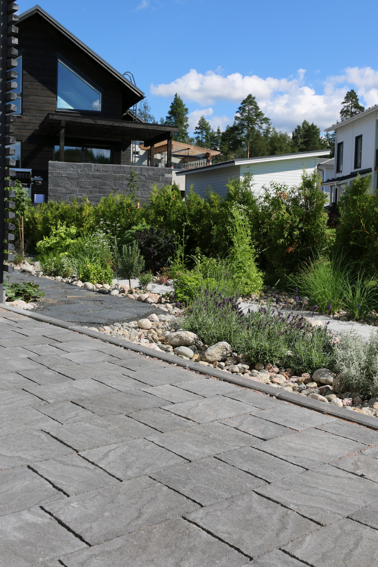 Torino-kivi Rudus musta