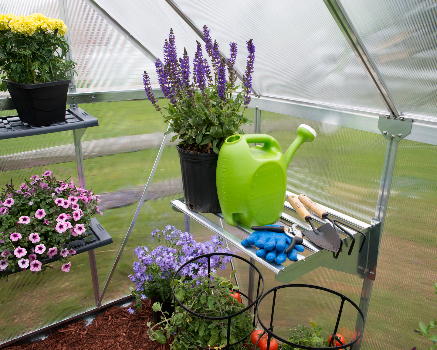 Kasvihuoneen hylly Palram-Canopia heavy duty