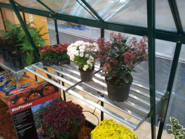 Kasvihuoneen hylly Palram-Canopia heavy duty