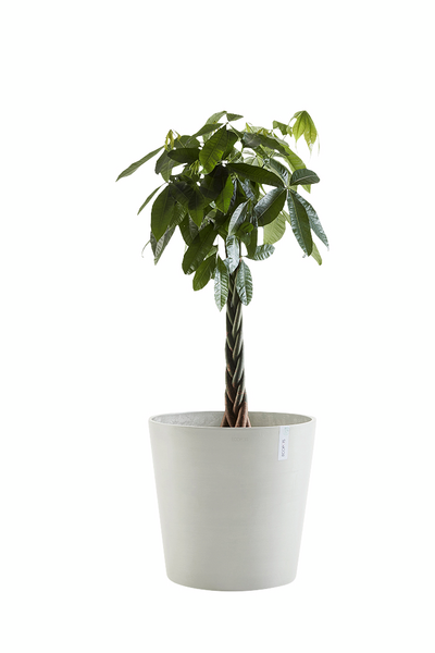 Ruukku Ecopots Amsterdam 50cm valkoharmaa