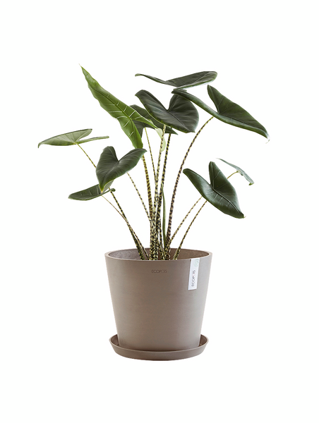 Ruukku Ecopots Amsterdam 40cm taupe