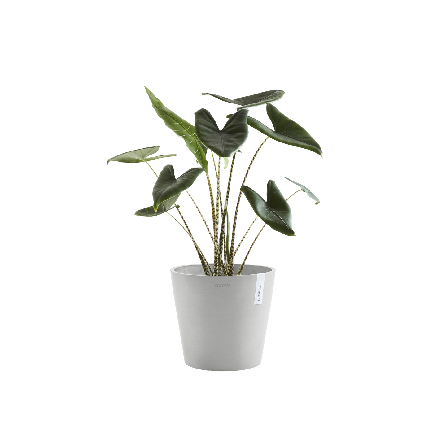 Ruukku Ecopots Amsterdam 40cm valkoharmaa