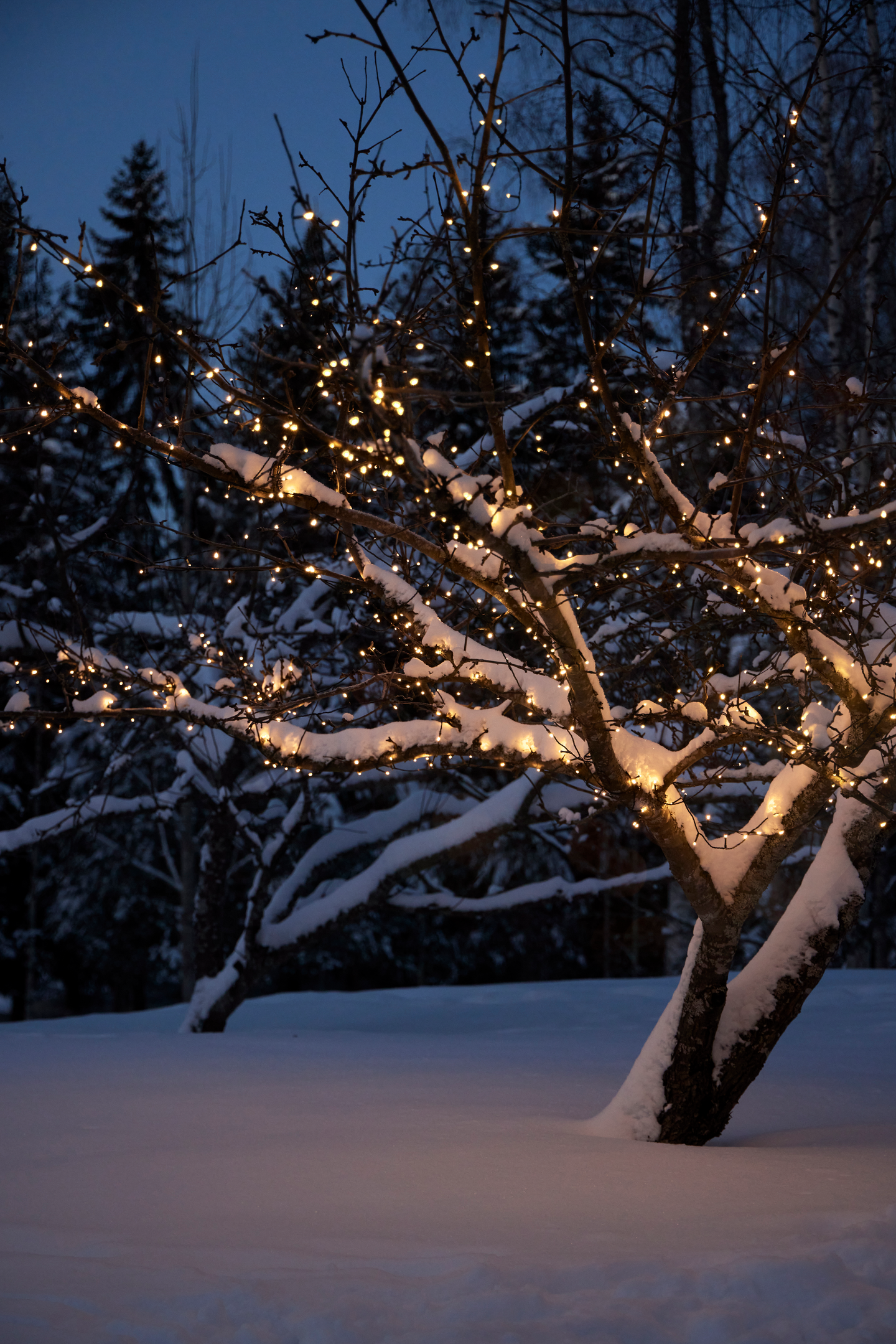 Valosarja Cello 540 lediä IP44 lämmin valkoinen