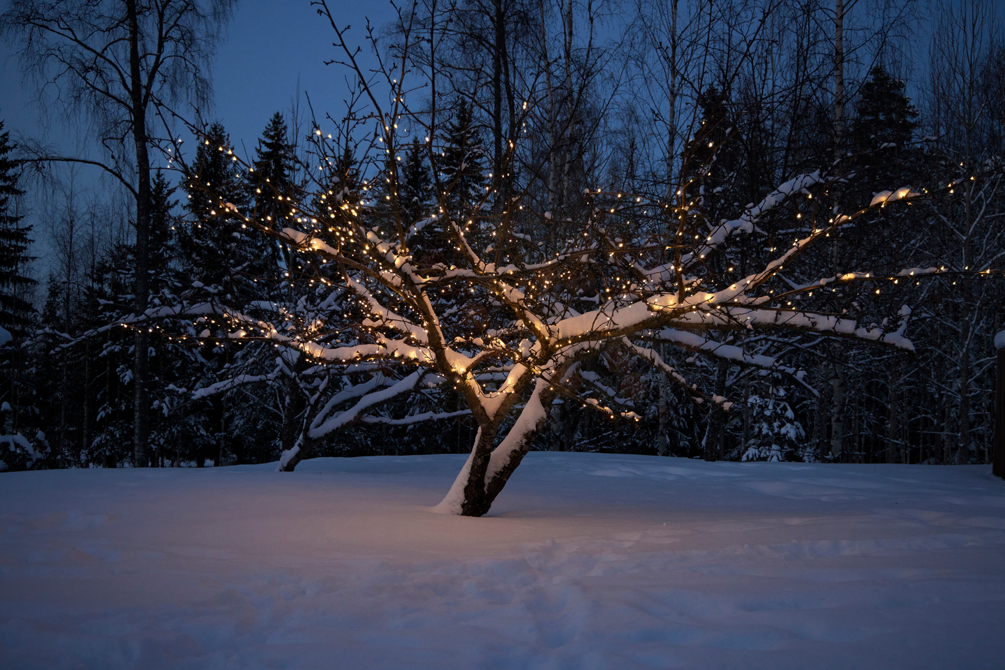 LJUSSLINGA CELLO IP44 540LED