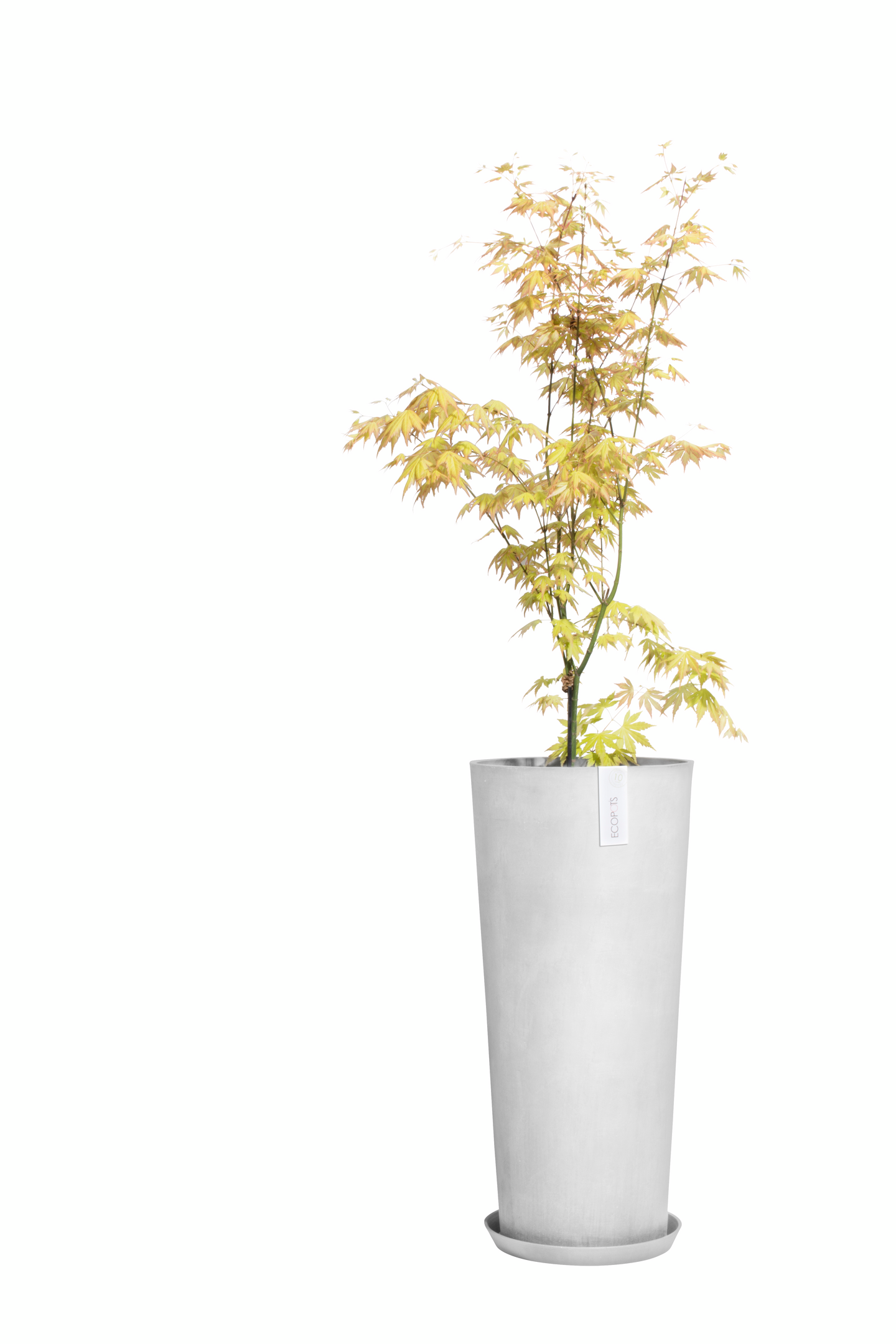 Ruukku Ecopots Amsterdam keskikorkea 50cm valkoharmaa