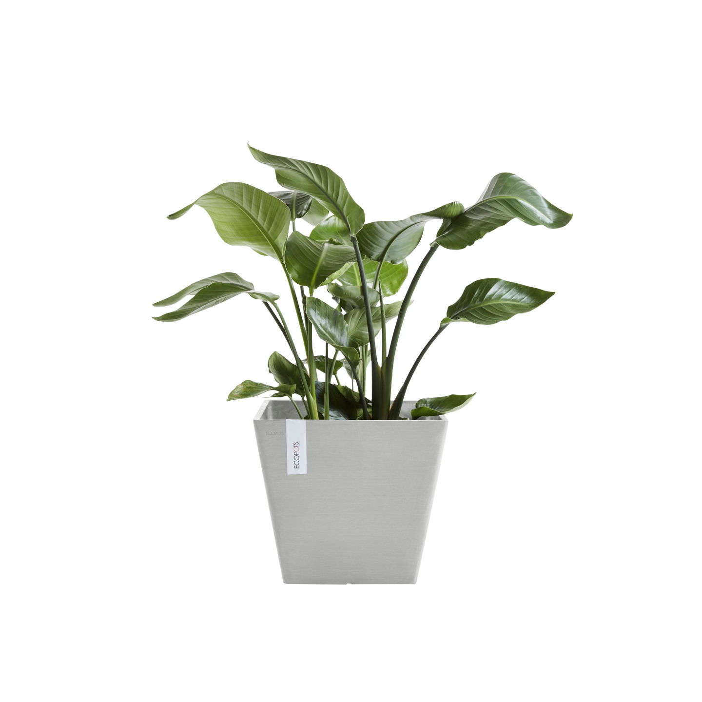 Ruukku Ecopots Rotterdam 50cm valkoharmaa