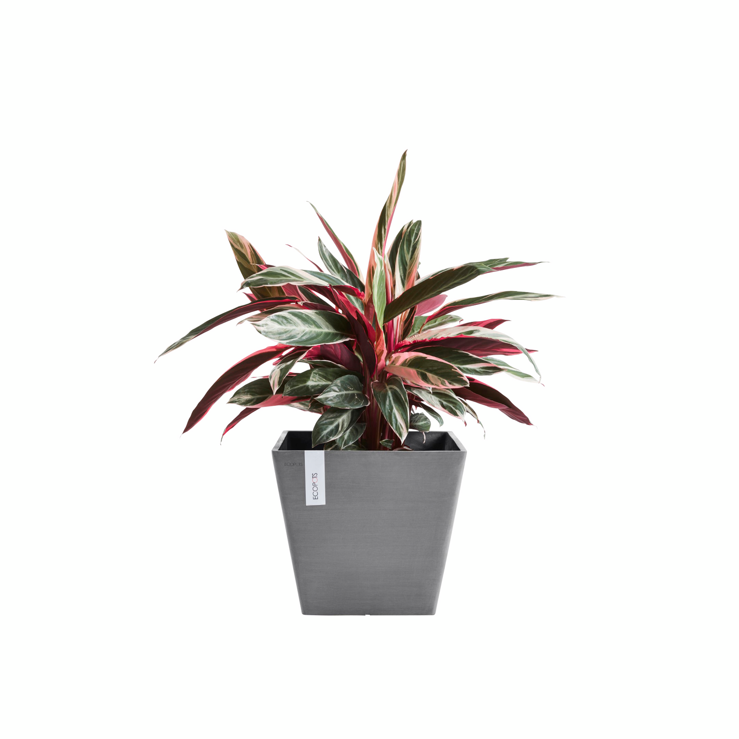 Ruukku Ecopots Rotterdam 50cm harmaa